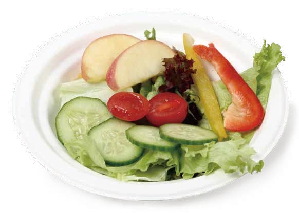 Bagasse Bowls