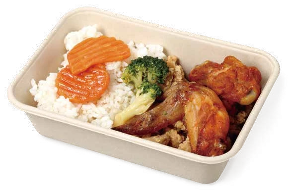 Bagasse Rectangular Trays