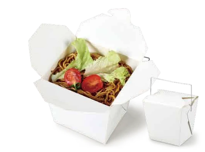 Paper Food Pail with Wire Handle, 3 Sizes
